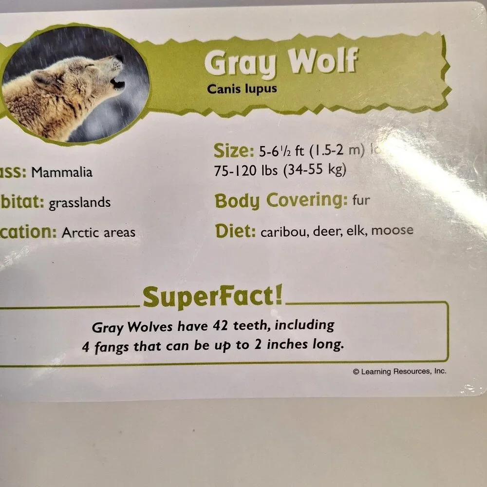 Animal Wildlife Cards Set of 10 Educational Learning Resources Science - Picture 4 of 4